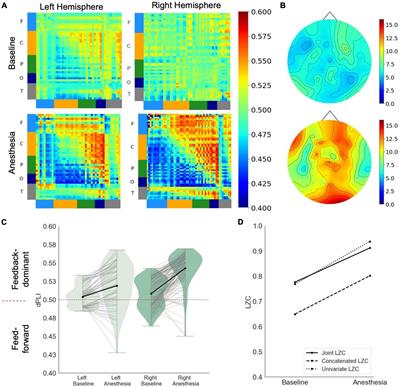 Paradoxical markers of conscious levels: Effects of propofol on patients in disorders of consciousness